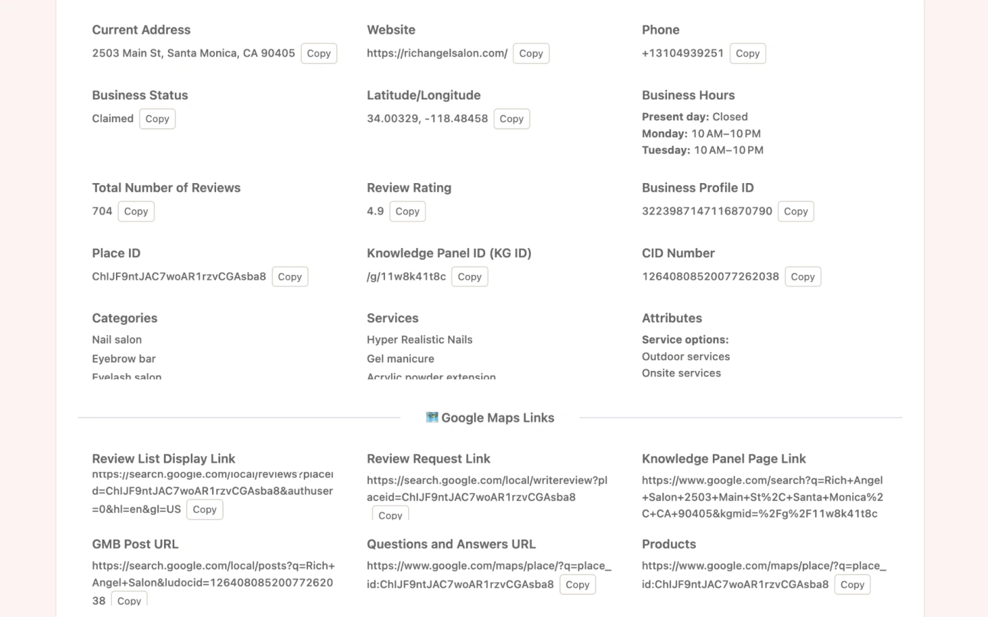Basic Audit report showing Google Business Profile fields and Maps links
